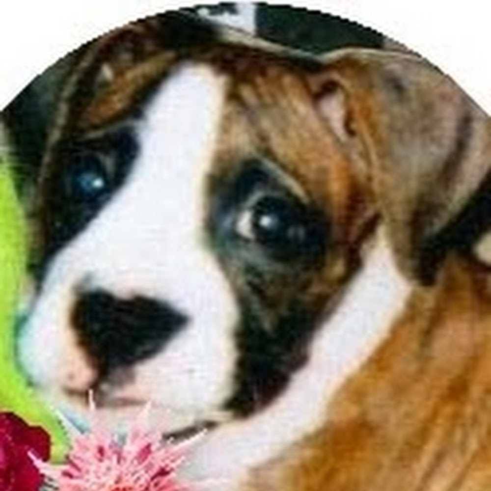 Meet your Posher, Rita